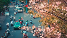Không ngờ giữa Sài Gòn lại có những con đường hoa đẹp đến thế này!