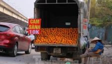 Hoa quả giá rẻ không rõ nguồn gốc bán trên phố Hà Nội vẫn hút khách 