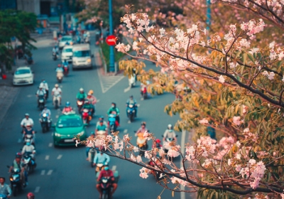 Không ngờ giữa Sài Gòn lại có những con đường hoa đẹp đến thế này!