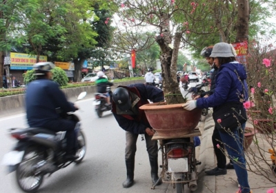 Những công việc hốt bạc, làm không có thời gian đếm tiền ngày cận Tết 