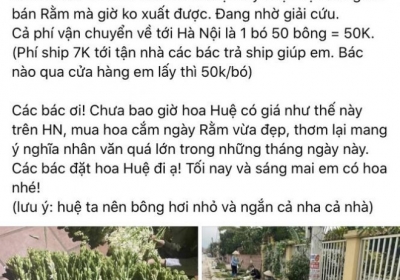 Sát Rằm tháng Giêng, giá hoa ở Hà Nội thấp lạ thường