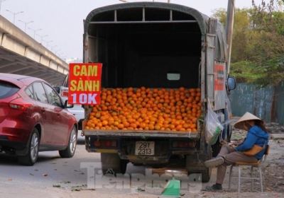 Hoa quả giá rẻ không rõ nguồn gốc bán trên phố Hà Nội vẫn hút khách 