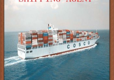 TQ: Nhà khoa học thuộc phòng thí nghiệm Vũ Hán từng bị dơi cắn xuyên găng tay